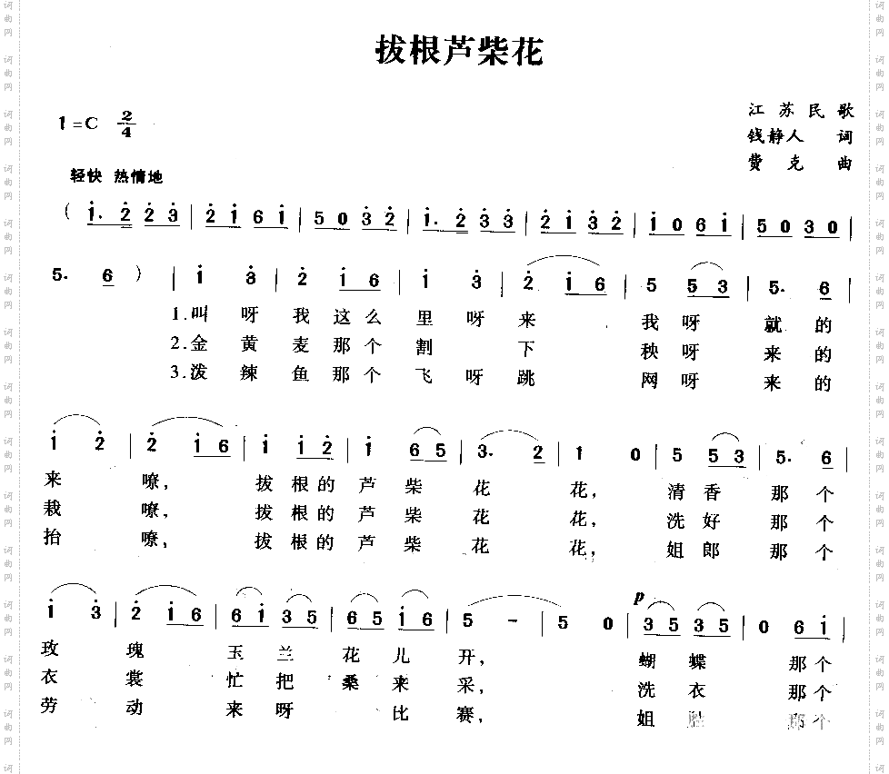 拔根芦柴花