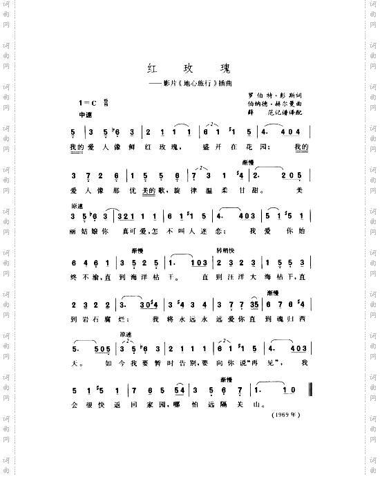 红玫瑰