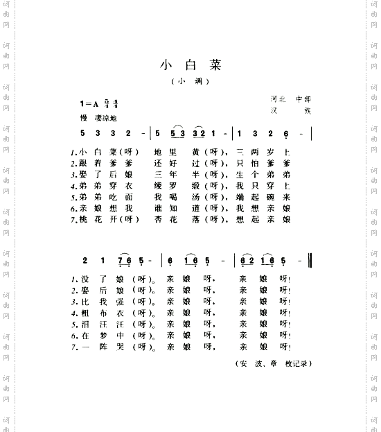 小白菜小调