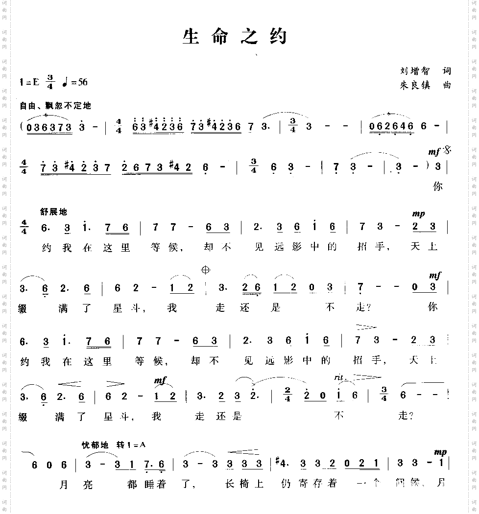 生命之约