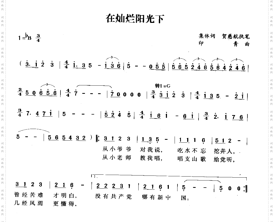 在灿烂阳光下