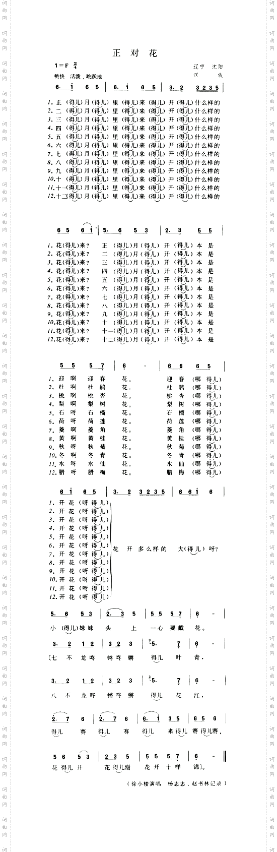 正对花