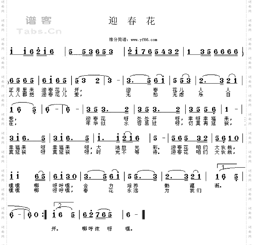迎春花