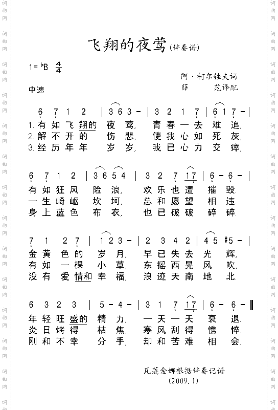 飞翔的夜莺伴奏谱