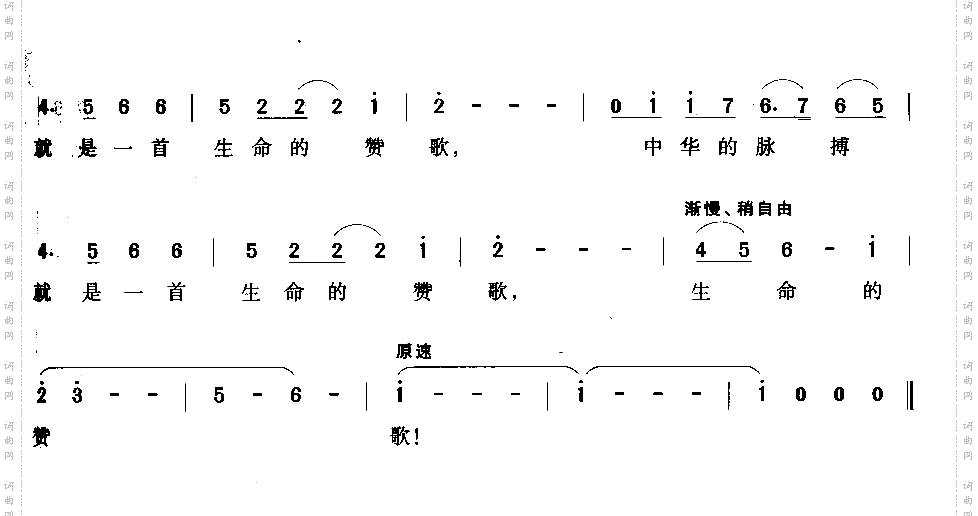 脉搏