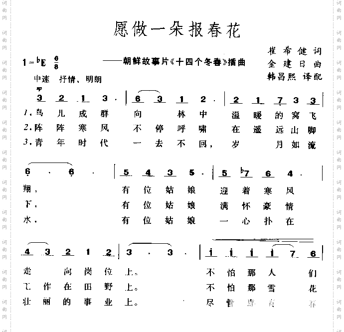 愿做一朵报春花