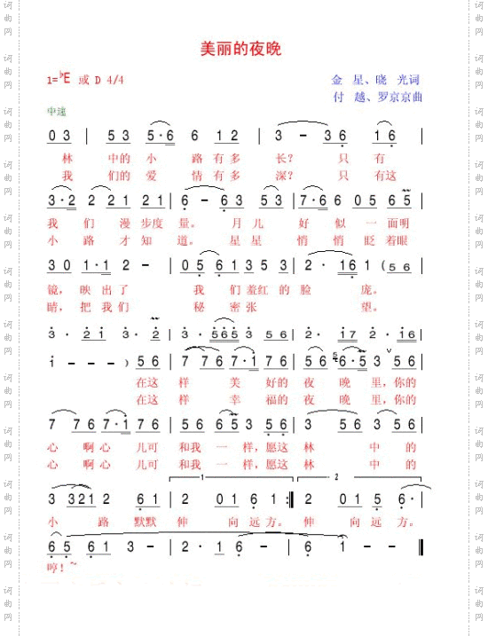 美丽的夜晚