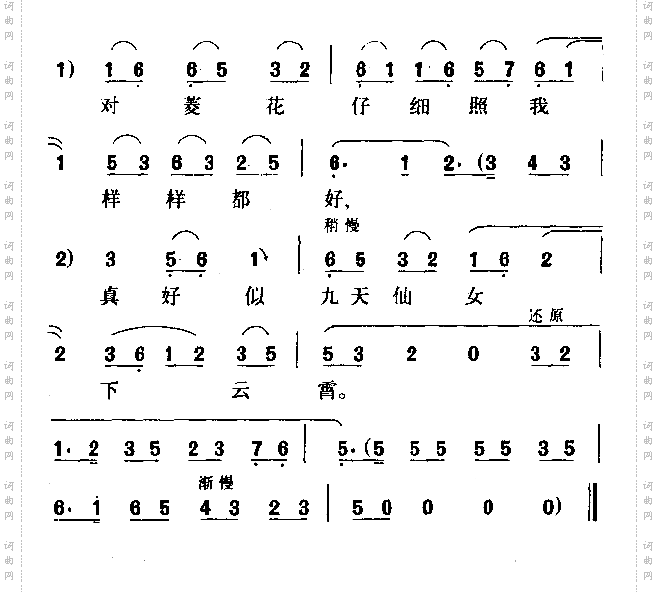 照菱花