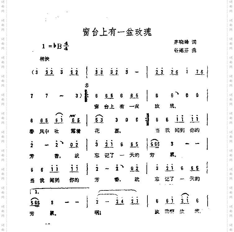 窗台上有一盆玫瑰