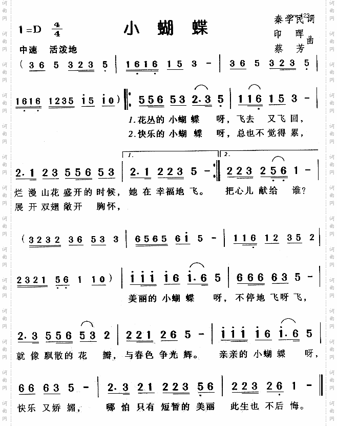小蝴蝶