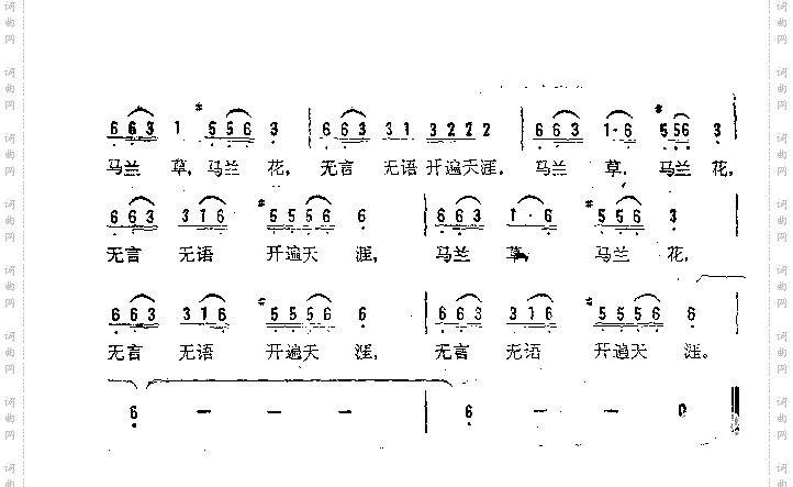马兰草