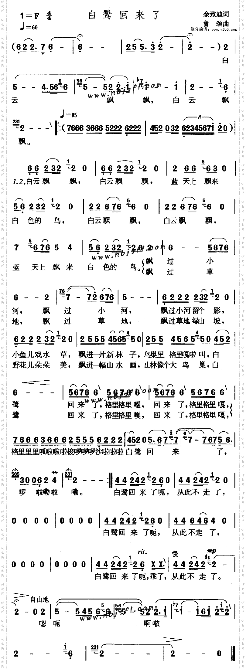 白鹭回来了