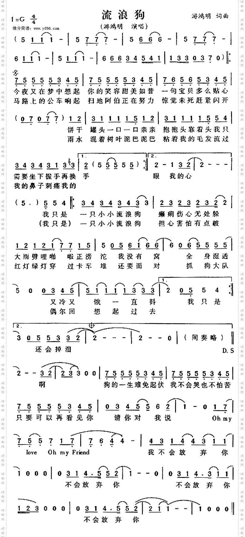 流浪狗