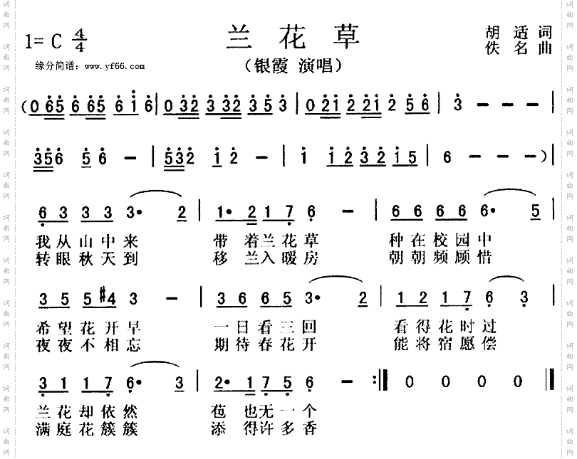 兰花草