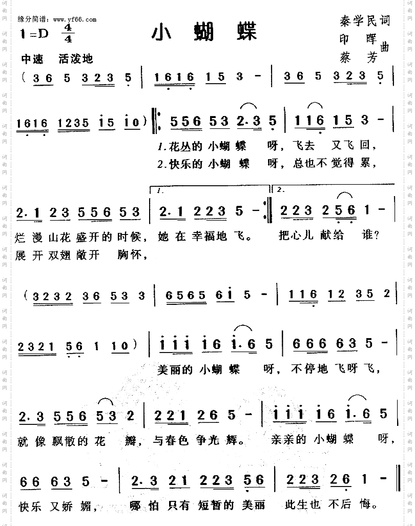 小蝴蝶