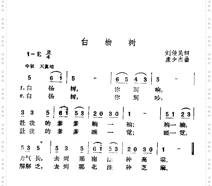 白杨树
