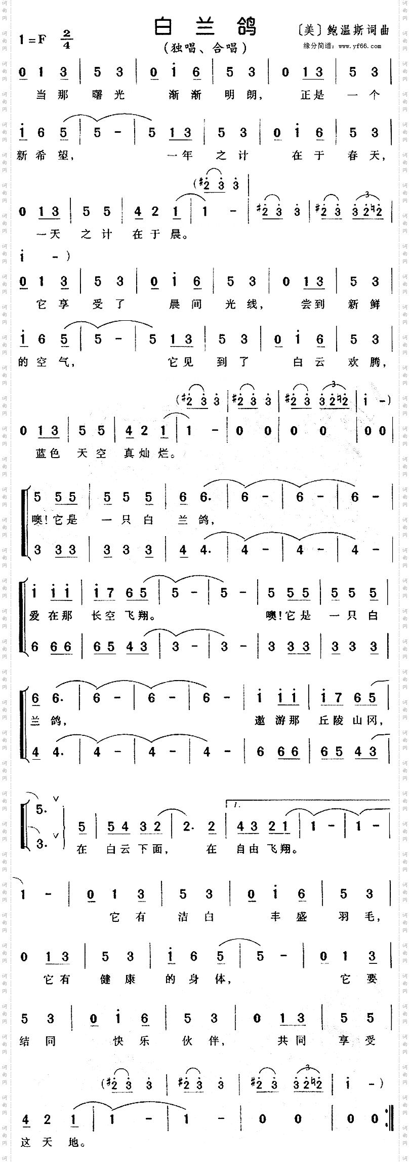 白兰鸽