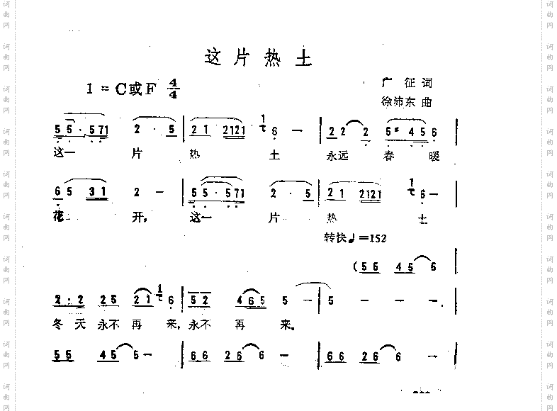 这片热土