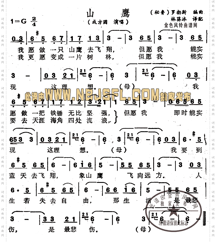山鹰