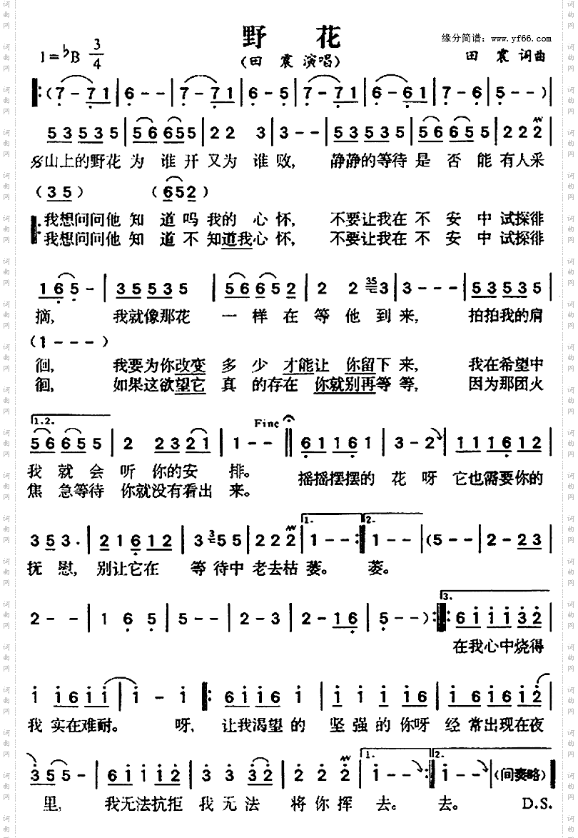 野花