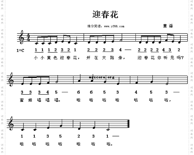 迎春花