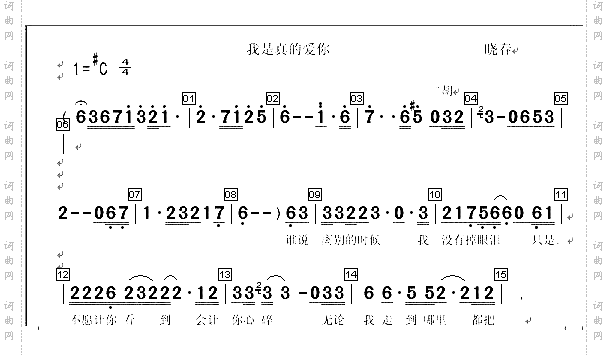 我是真的爱你2