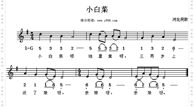 小白菜