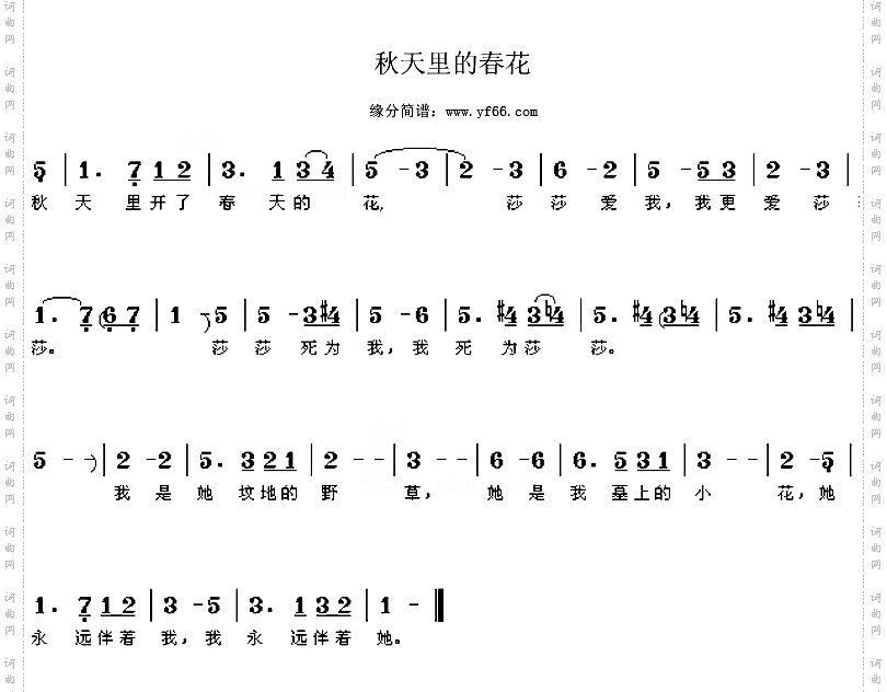秋天里的春花