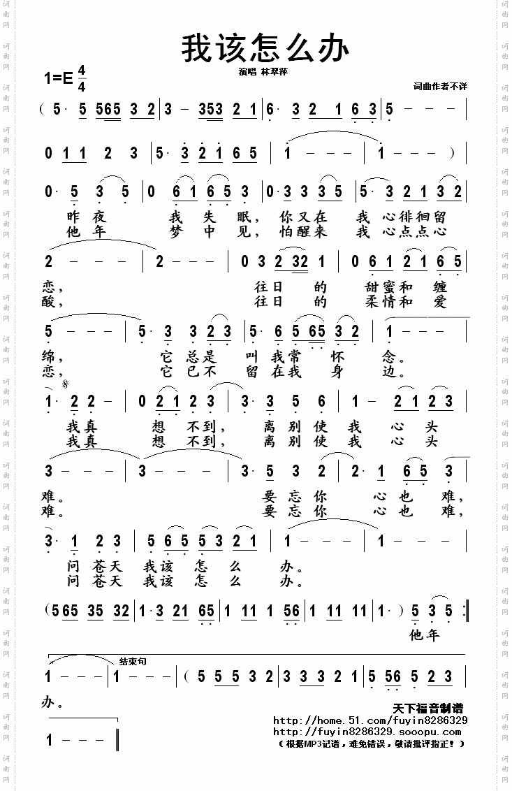 我该怎么办