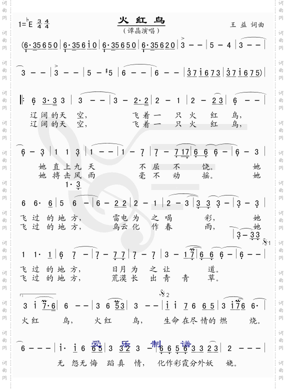 火红鸟