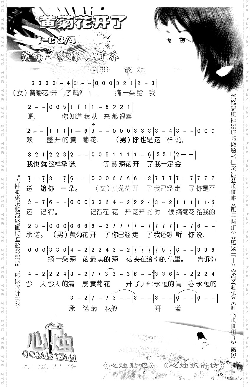 黄菊花开了