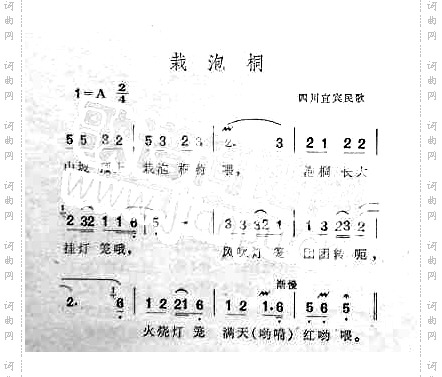 栽泡桐四川宜宾民歌