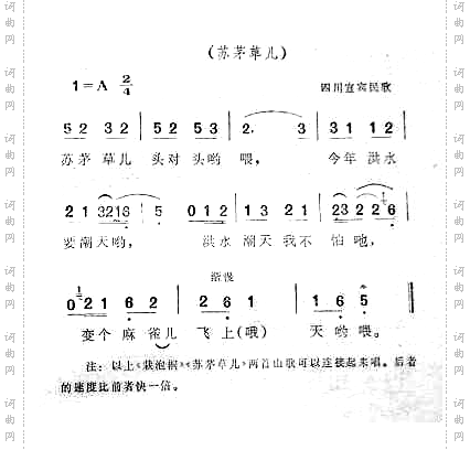 栽泡桐四川宜宾民歌