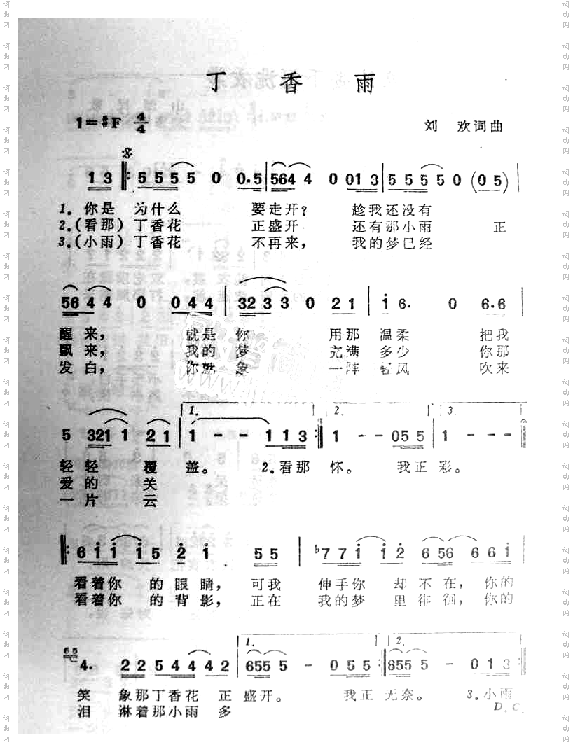 丁香雨