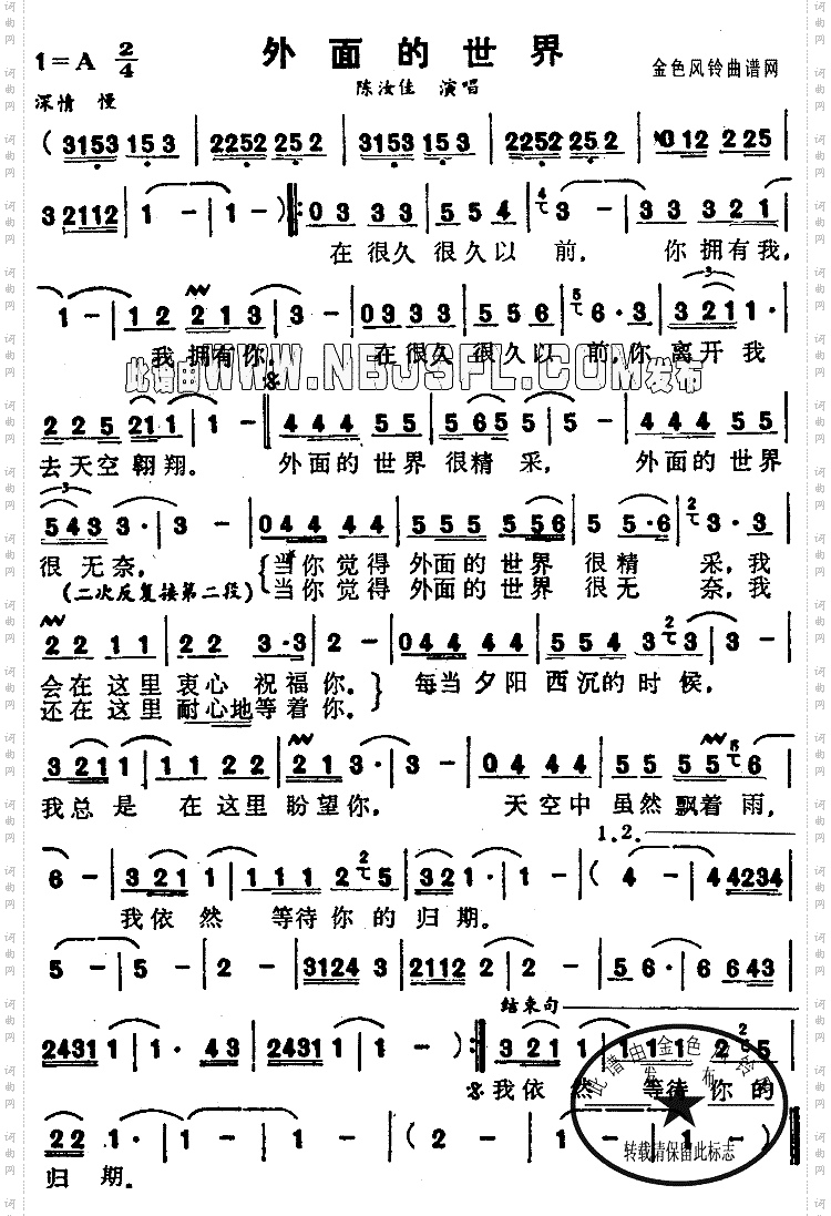 外面的世界