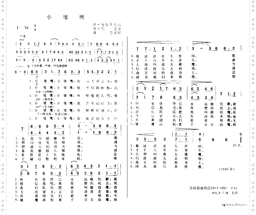 小雄鹰