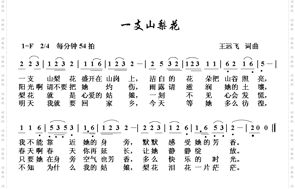 一支山梨花