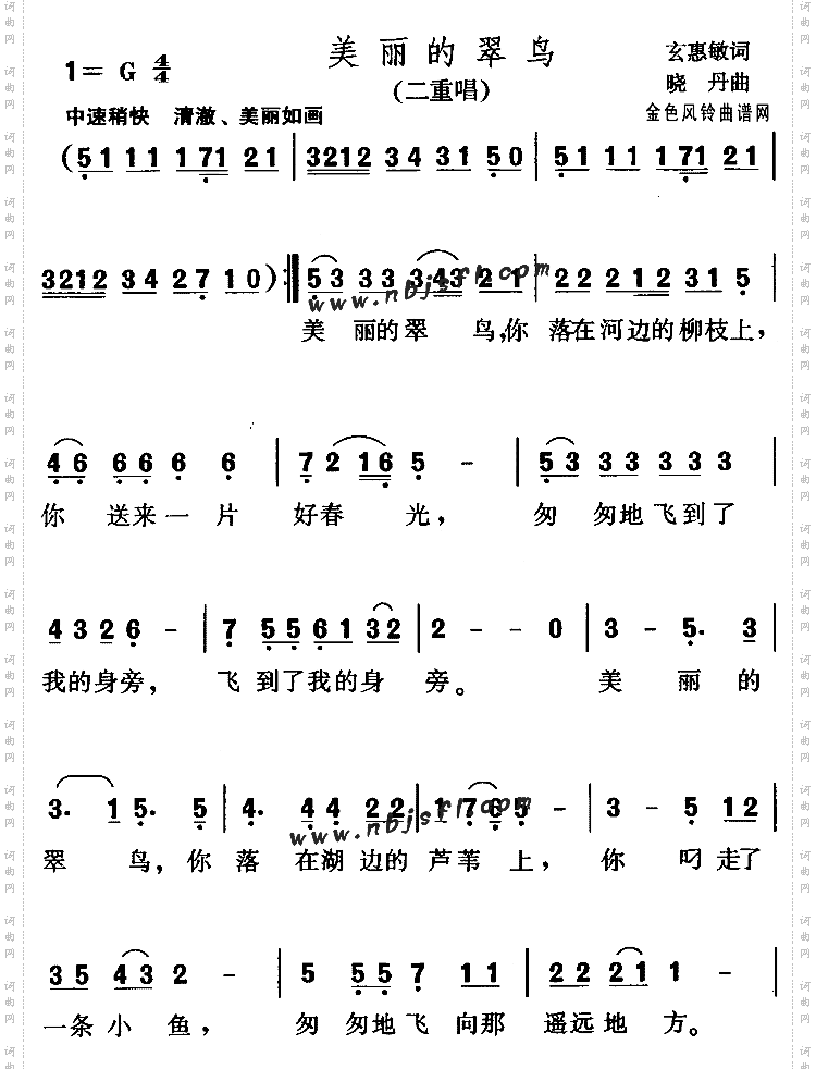 美丽的翠鸟儿童歌