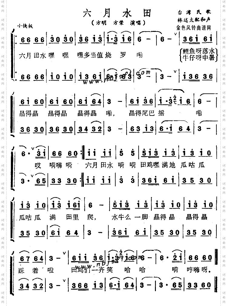 六月水田台湾民歌