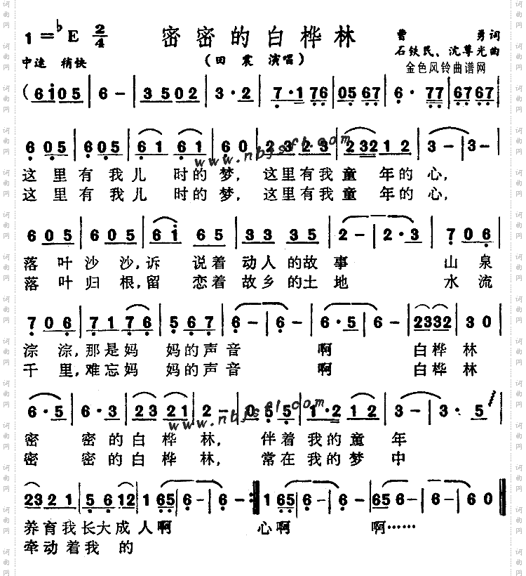 密密的白桦林