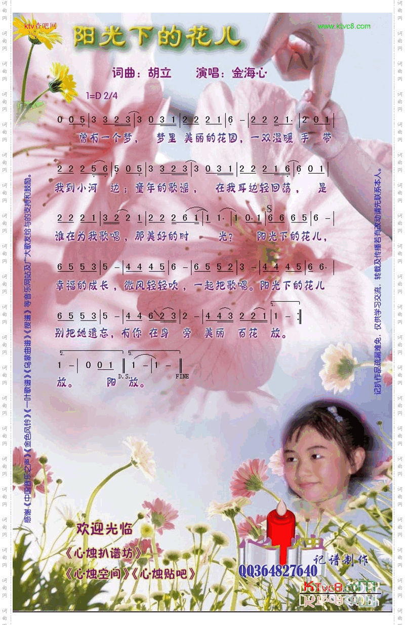 阳光下的花儿