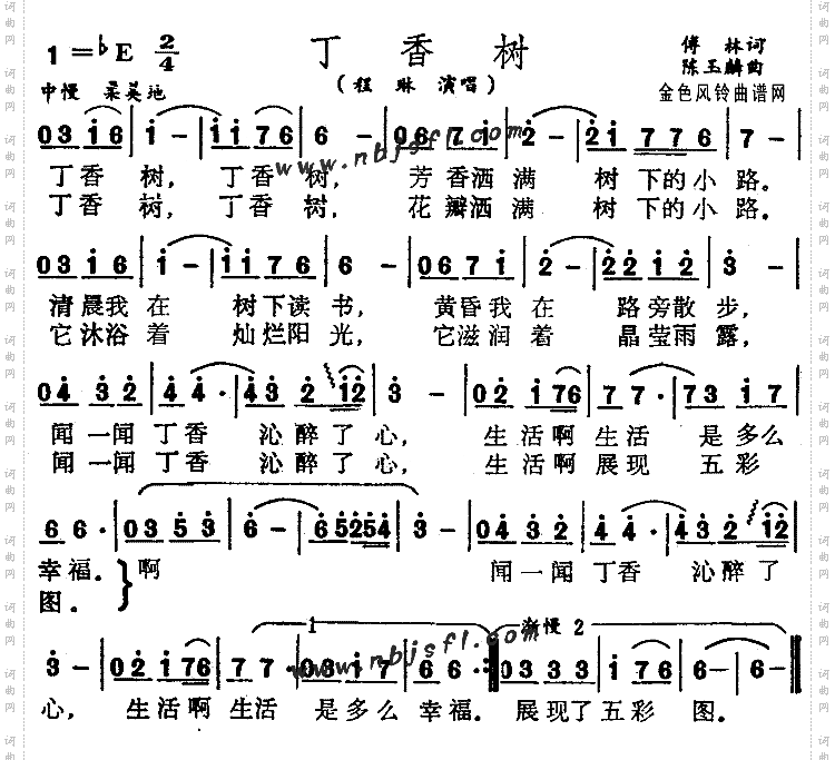 丁香树