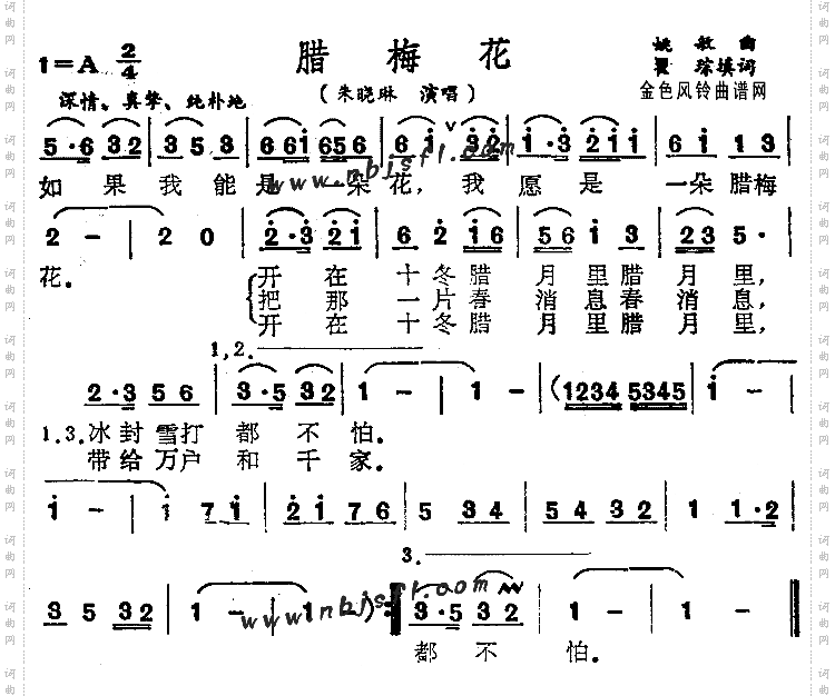 腊梅花