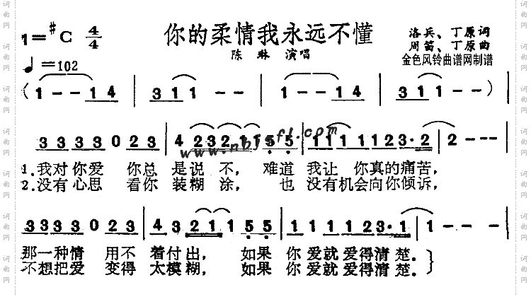 你的柔情我永远不懂