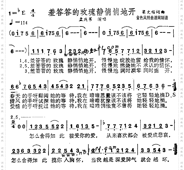 羞答答的玫瑰静悄悄地开