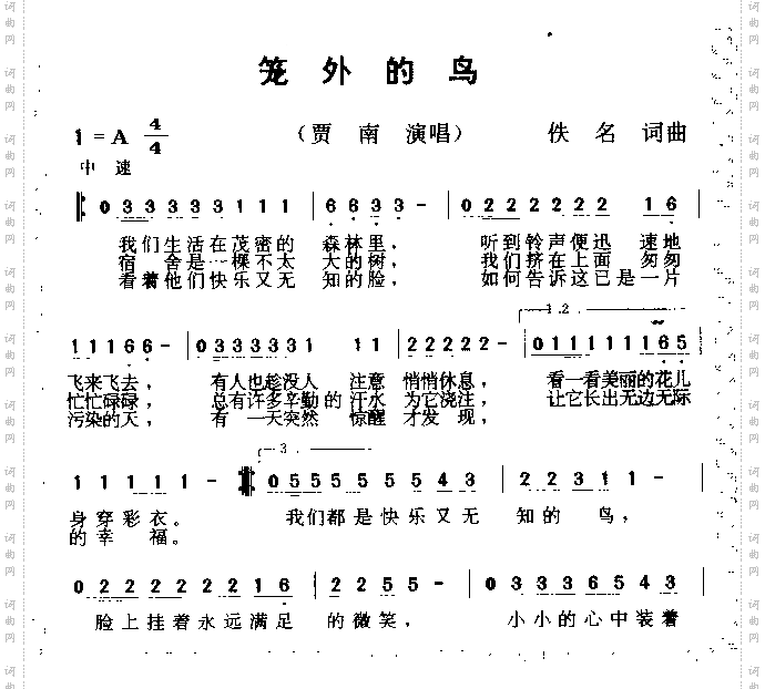 笼外的鸟