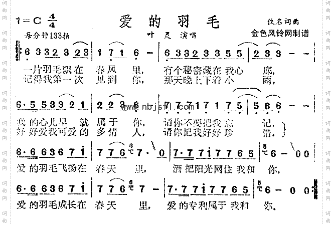 爱的羽毛