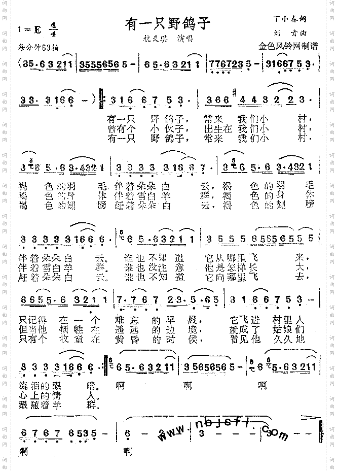 有一只野鸽子
