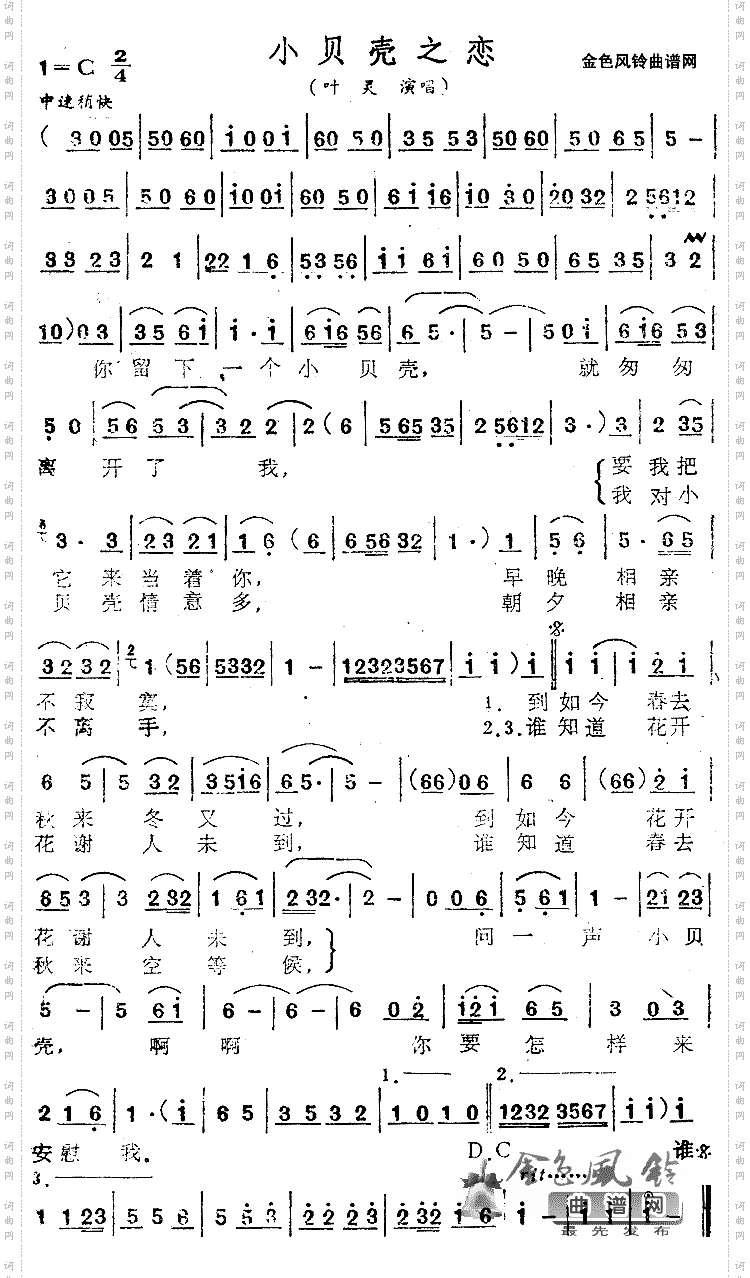 小贝壳之恋