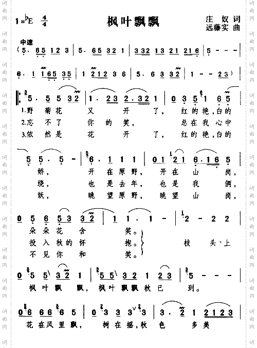 枫叶飘飘